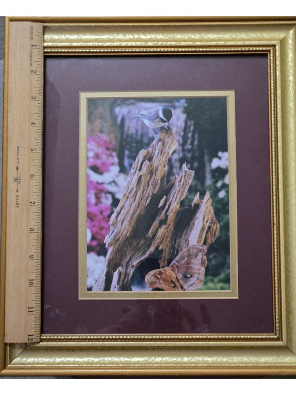 Gold Framed Chickadee Floral Butterfly Photo Print Grandma Country Cottage - Picture 6 of 10